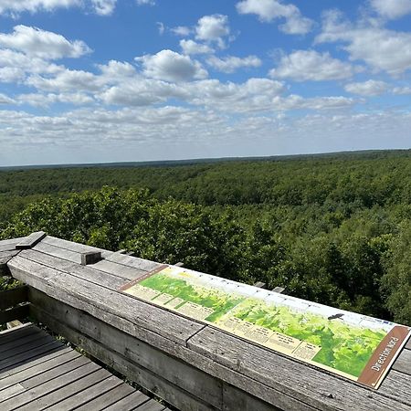 *** Domaine Des Noyers - Proche Centre Ville Шатонеф-сюр-Луар Екстер'єр фото
