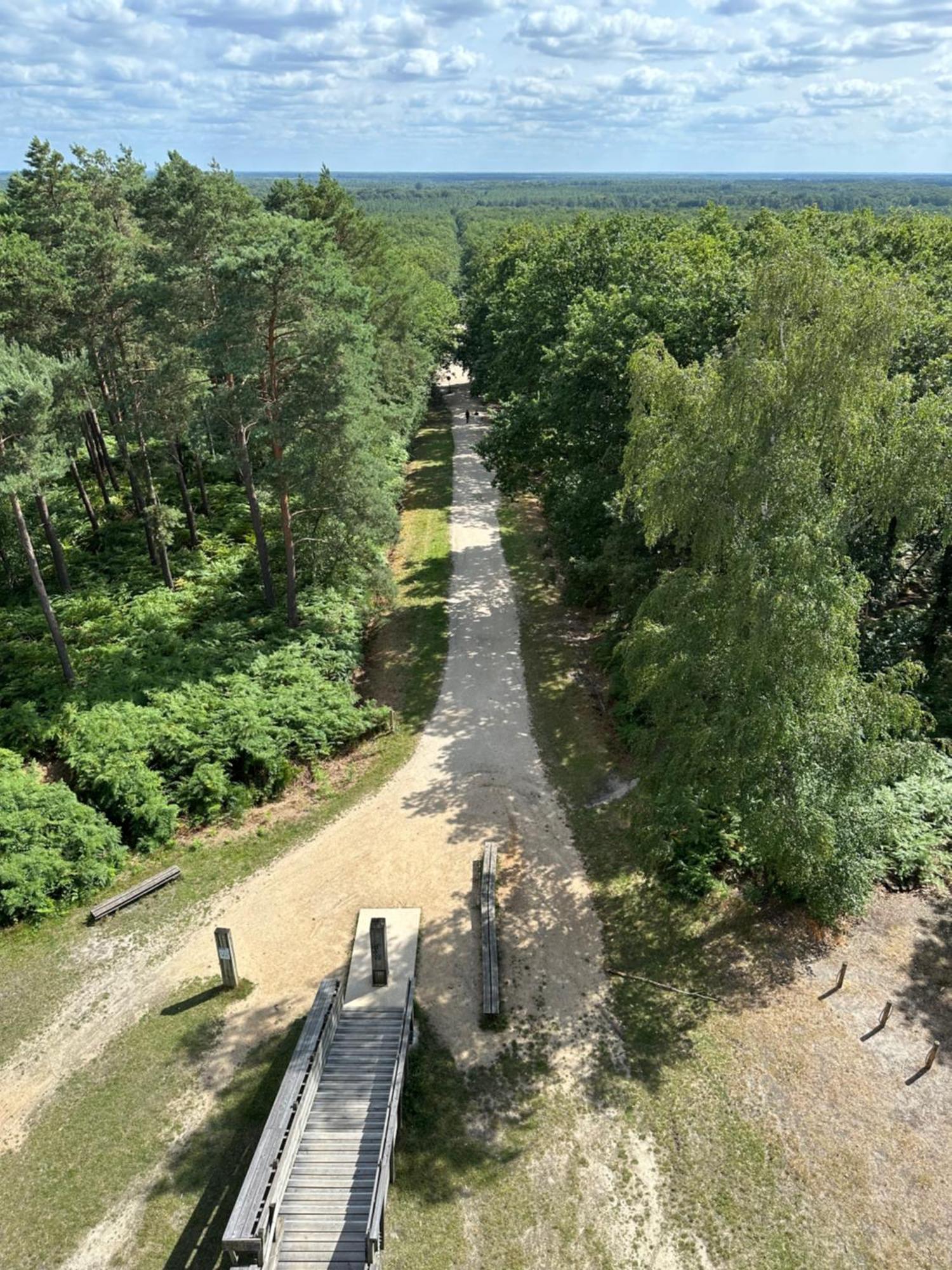 *** Domaine Des Noyers - Proche Centre Ville Шатонеф-сюр-Луар Екстер'єр фото